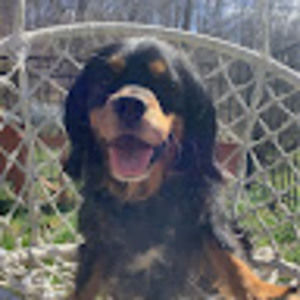 Meet your Posher, Renee